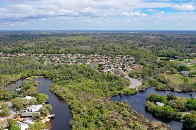 1733 NODDING THISTLE DRIVE, TRINITY, Florida 34655, 4 Bedrooms Bedrooms, ,3 BathroomsBathrooms,Residential,For Sale,NODDING THISTLE,MFRW7863771