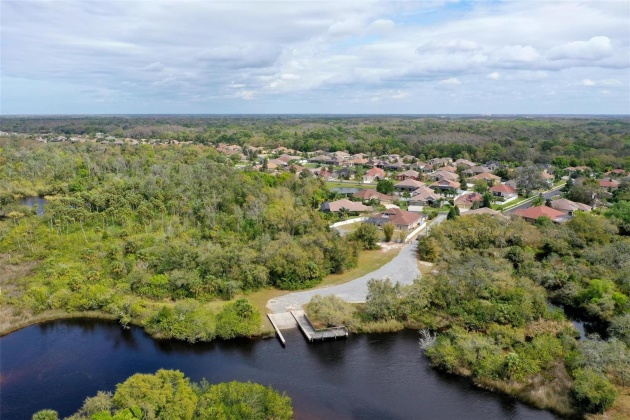 1733 NODDING THISTLE DRIVE, TRINITY, Florida 34655, 4 Bedrooms Bedrooms, ,3 BathroomsBathrooms,Residential,For Sale,NODDING THISTLE,MFRW7863771