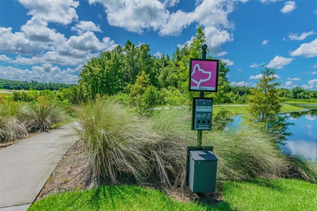 32665 BROOKS HAWK LANE, WESLEY CHAPEL, Florida 33543, 5 Bedrooms Bedrooms, ,3 BathroomsBathrooms,Residential,For Sale,BROOKS HAWK,MFRT3518009