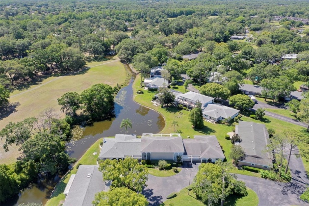 1610 PALMER COURT, PALM HARBOR, Florida 34685, 2 Bedrooms Bedrooms, ,2 BathroomsBathrooms,Residential,For Sale,PALMER,MFRU8238432