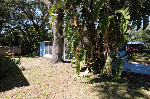 3643 MULLER DRIVE, ZEPHYRHILLS, Florida 33540, 2 Bedrooms Bedrooms, ,1 BathroomBathrooms,Residential,For Sale,MULLER,MFRT3518878