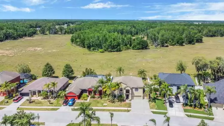 15217 PRINCEWOOD LANE, LAND O LAKES, Florida 34638, 5 Bedrooms Bedrooms, ,4 BathroomsBathrooms,Residential,For Sale,PRINCEWOOD,MFRO6196050