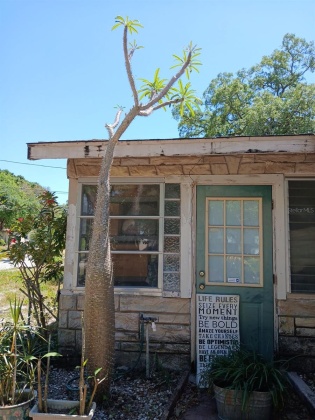 820 BAYOU AVENUE, TARPON SPRINGS, Florida 34689, 3 Bedrooms Bedrooms, ,1 BathroomBathrooms,Residential,For Sale,BAYOU,MFRW7863902