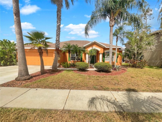 1025 SAWGRASS DRIVE, TARPON SPRINGS, Florida 34689, 3 Bedrooms Bedrooms, ,2 BathroomsBathrooms,Residential,For Sale,SAWGRASS,MFRT3512815