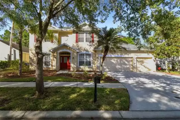 16159 COLCHESTER PALMS DRIVE, TAMPA, Florida 33647, 4 Bedrooms Bedrooms, ,3 BathroomsBathrooms,Residential,For Sale,COLCHESTER PALMS,MFRT3520959