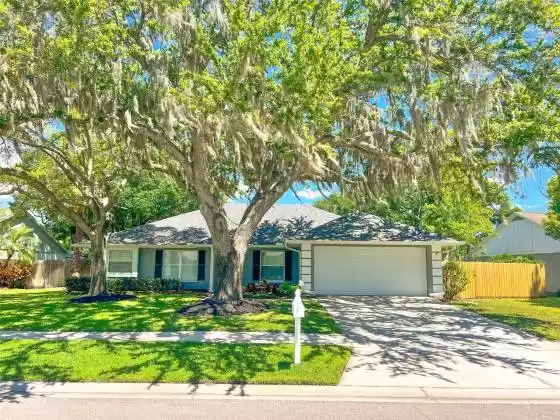 15109 LYNX DRIVE, TAMPA, Florida 33624, 3 Bedrooms Bedrooms, ,2 BathroomsBathrooms,Residential,For Sale,LYNX,MFRT3520613
