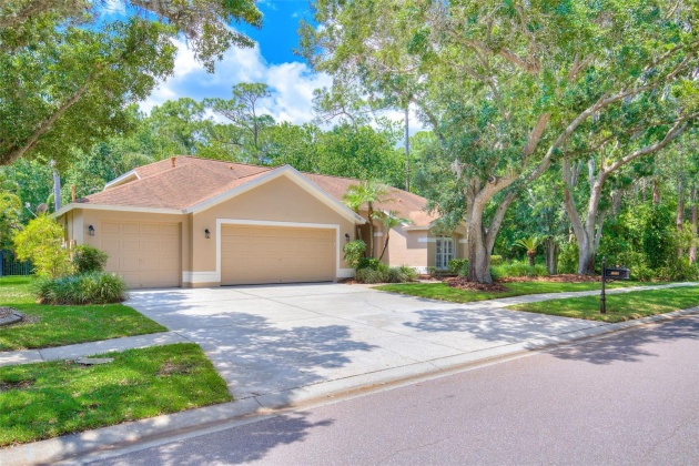 10508 CHAMBERS DRIVE, TAMPA, Florida 33626, 5 Bedrooms Bedrooms, ,3 BathroomsBathrooms,Residential,For Sale,CHAMBERS,MFRT3520958