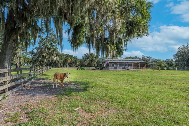 320 MOCCASIN HOLLOW ROAD, LITHIA, Florida 33547, 3 Bedrooms Bedrooms, ,2 BathroomsBathrooms,Residential,For Sale,MOCCASIN HOLLOW,MFRT3471721