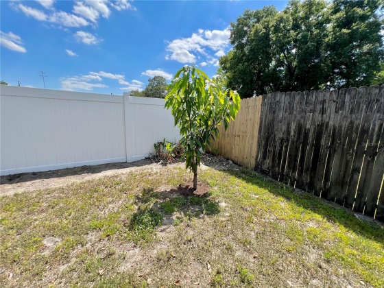 39048 HAVEN AVENUE, ZEPHYRHILLS, Florida 33542, 2 Bedrooms Bedrooms, ,2 BathroomsBathrooms,Residential,For Sale,HAVEN,MFRL4944401