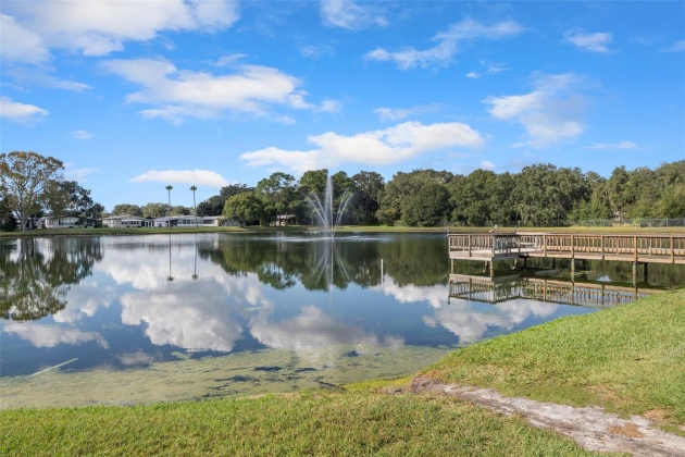 3135 GREAT OAK STREET, WESLEY CHAPEL, Florida 33543, 2 Bedrooms Bedrooms, ,2 BathroomsBathrooms,Residential,For Sale,GREAT OAK,MFRA4589826