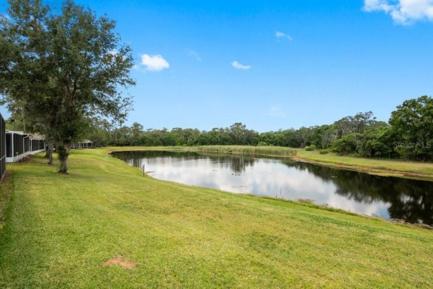 15738 PHOEBEPARK AVENUE, LITHIA, Florida 33547, 3 Bedrooms Bedrooms, ,2 BathroomsBathrooms,Residential,For Sale,PHOEBEPARK,MFRT3523247