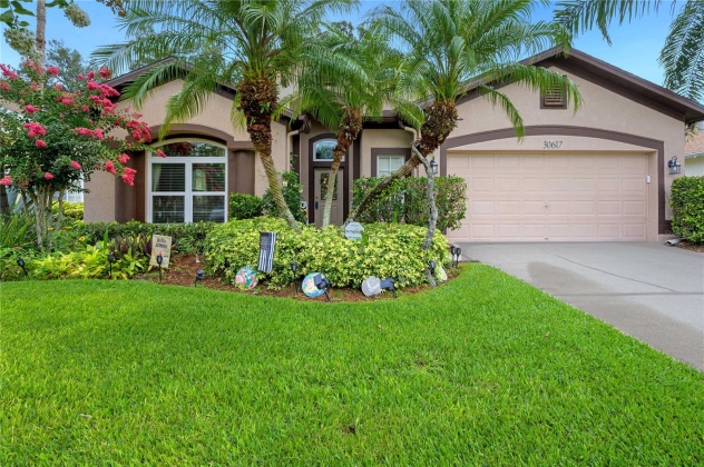 30617 LANESBOROUGH CIRCLE, WESLEY CHAPEL, Florida 33543, 4 Bedrooms Bedrooms, ,3 BathroomsBathrooms,Residential,For Sale,LANESBOROUGH,MFRT3524049