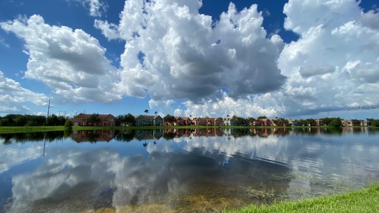 9842 LAKE CHASE ISLAND WAY, TAMPA, Florida 33626, 1 Bedroom Bedrooms, ,1 BathroomBathrooms,Residential,For Sale,LAKE CHASE ISLAND,MFRT3522463