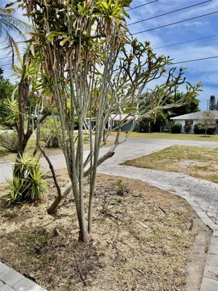 10739 64TH AVENUE, SEMINOLE, Florida 33772, 2 Bedrooms Bedrooms, ,2 BathroomsBathrooms,Residential,For Sale,64TH,MFRO6202897