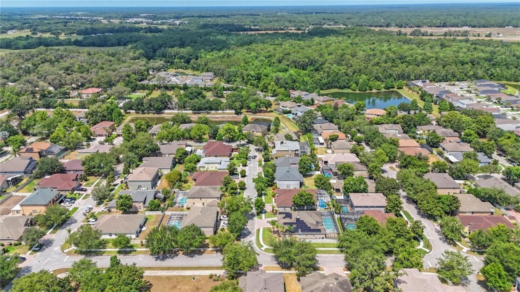 6935 GREEN HERON DRIVE, WESLEY CHAPEL, Florida 33545, 4 Bedrooms Bedrooms, ,3 BathroomsBathrooms,Residential,For Sale,GREEN HERON,MFRT3526584