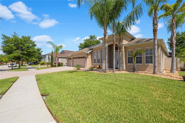 6935 GREEN HERON DRIVE, WESLEY CHAPEL, Florida 33545, 4 Bedrooms Bedrooms, ,3 BathroomsBathrooms,Residential,For Sale,GREEN HERON,MFRT3526584