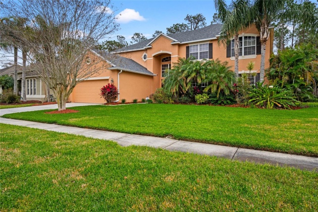 3438 LOGGERHEAD WAY, WESLEY CHAPEL, Florida 33544, 5 Bedrooms Bedrooms, ,3 BathroomsBathrooms,Residential,For Sale,LOGGERHEAD,MFRT3496323