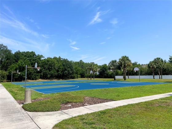19336 EVERTON PLACE, LAND O LAKES, Florida 34638, 2 Bedrooms Bedrooms, ,2 BathroomsBathrooms,Residential,For Sale,EVERTON,MFRT3526872
