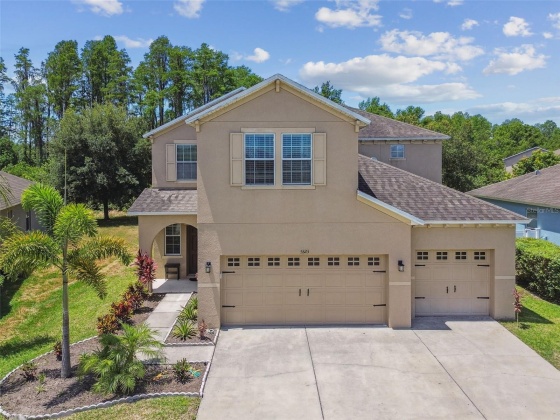 5323 DITTANY COURT, LAND O LAKES, Florida 34639, 6 Bedrooms Bedrooms, ,3 BathroomsBathrooms,Residential,For Sale,DITTANY,MFRT3528147