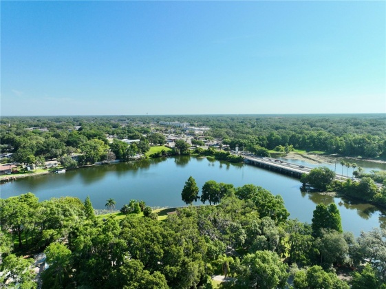 8019 CARDINAL DRIVE, TAMPA, Florida 33617, 5 Bedrooms Bedrooms, ,4 BathroomsBathrooms,Residential,For Sale,CARDINAL,MFRO6209210