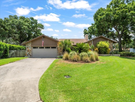 13903 LAKE BLUFF COURT, TAMPA, Florida 33624, 3 Bedrooms Bedrooms, ,2 BathroomsBathrooms,Residential,For Sale,LAKE BLUFF,MFRT3530058