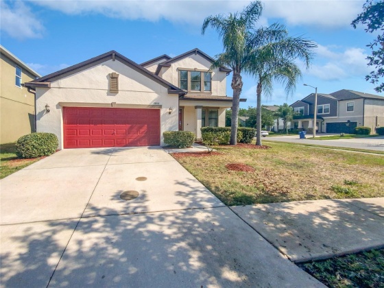 19209 ANDREA LYNN LANE, LAND O LAKES, Florida 34638, 4 Bedrooms Bedrooms, ,3 BathroomsBathrooms,Residential,For Sale,ANDREA LYNN,MFRO6210566