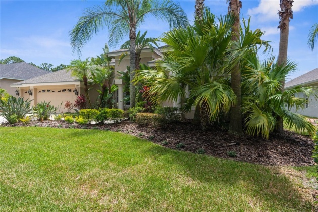 23340 GRACEWOOD CIRCLE, LAND O LAKES, Florida 34639, 4 Bedrooms Bedrooms, ,3 BathroomsBathrooms,Residential,For Sale,GRACEWOOD,MFRW7865398