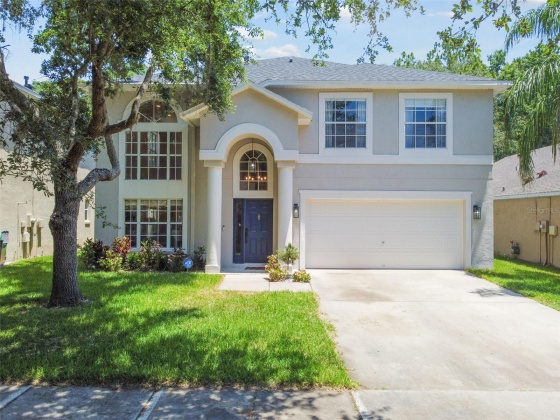 8606 BUTTONBUSH COURT, TAMPA, Florida 33647, 4 Bedrooms Bedrooms, ,3 BathroomsBathrooms,Residential,For Sale,BUTTONBUSH,MFRT3531037