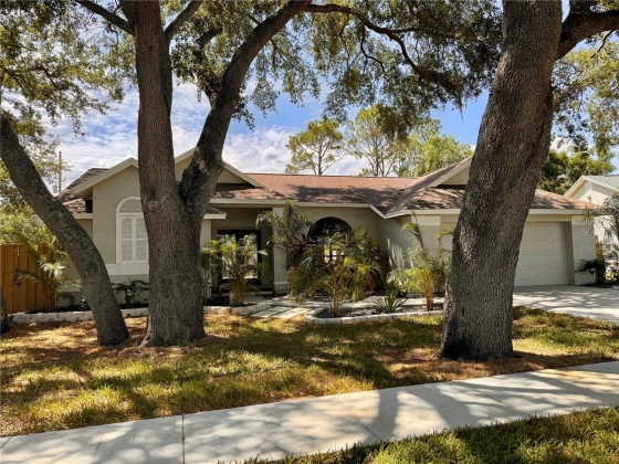 2212 LAKE BAY WAY, BRANDON, Florida 33511, 3 Bedrooms Bedrooms, ,2 BathroomsBathrooms,Residential,For Sale,LAKE BAY,MFRD6136763