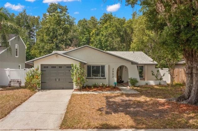 2902 CEDARIDGE DRIVE, TAMPA, Florida 33618, 3 Bedrooms Bedrooms, ,2 BathroomsBathrooms,Residential,For Sale,CEDARIDGE,MFRT3527772