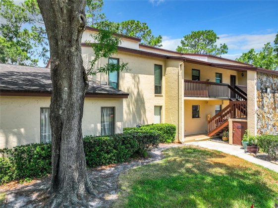 1200 TARPON WOODS BOULEVARD, PALM HARBOR, Florida 34685, 2 Bedrooms Bedrooms, ,2 BathroomsBathrooms,Residential,For Sale,TARPON WOODS,MFRT3531287