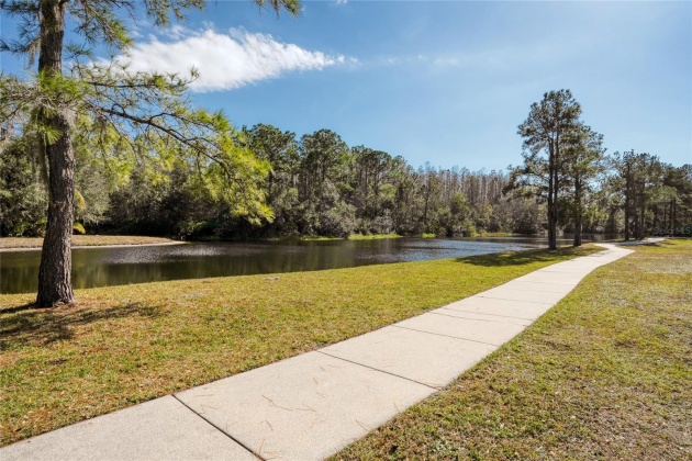 16101 MUIRFIELD DRIVE, ODESSA, Florida 33556, 4 Bedrooms Bedrooms, ,3 BathroomsBathrooms,Residential,For Sale,MUIRFIELD,MFRU8244991