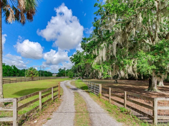 10139 BRYANT ROAD, LITHIA, Florida 33547, 3 Bedrooms Bedrooms, ,2 BathroomsBathrooms,Residential,For Sale,BRYANT,MFRT3534290