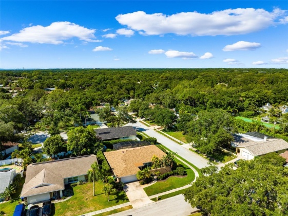 3135 HILLSIDE LANE, SAFETY HARBOR, Florida 34695, 3 Bedrooms Bedrooms, ,2 BathroomsBathrooms,Residential,For Sale,HILLSIDE,MFRW7865775