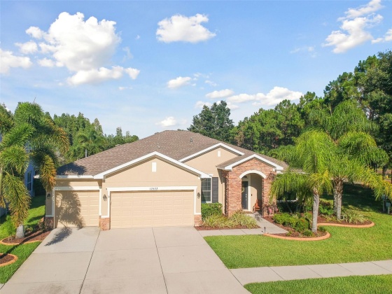 12432 BELCROFT DR, RIVERVIEW, Florida 33579, 4 Bedrooms Bedrooms, ,3 BathroomsBathrooms,Residential,For Sale,BELCROFT DR,MFRA4613984