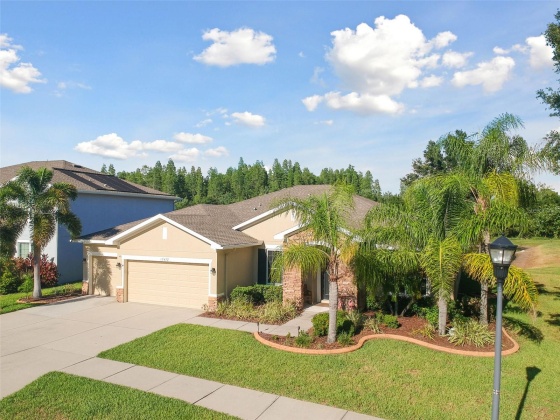 12432 BELCROFT DR, RIVERVIEW, Florida 33579, 4 Bedrooms Bedrooms, ,3 BathroomsBathrooms,Residential,For Sale,BELCROFT DR,MFRA4613984