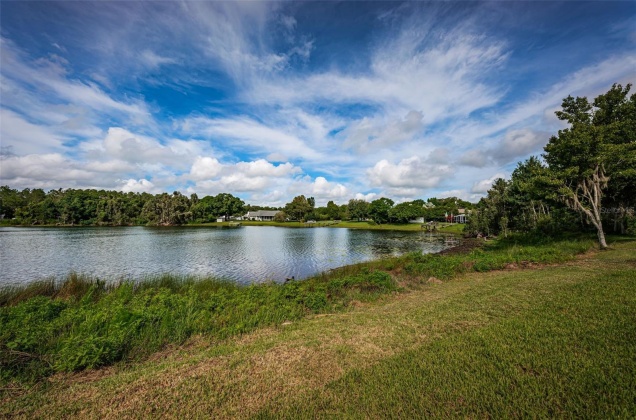 913 NEWBERGER RD, LUTZ, Florida 33549, 4 Bedrooms Bedrooms, ,3 BathroomsBathrooms,Residential,For Sale,NEWBERGER RD,MFRU8246773