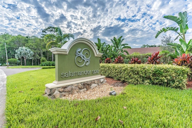 36750 US HIGHWAY 19, PALM HARBOR, Florida 34684, 1 Bedroom Bedrooms, ,1 BathroomBathrooms,Residential,For Sale,US HIGHWAY 19,MFRT3535362