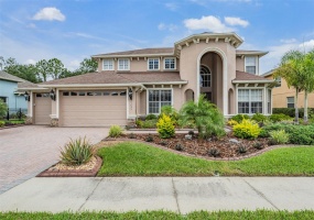 21635 DRAYCOTT WAY, LAND O LAKES, Florida 34637, 5 Bedrooms Bedrooms, ,4 BathroomsBathrooms,Residential,For Sale,DRAYCOTT,MFRT3536469