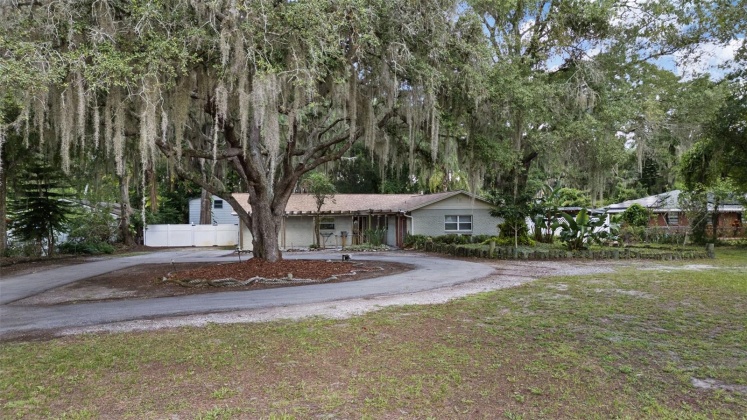 21817 DUPREE DRIVE, LAND O LAKES, Florida 34639, 4 Bedrooms Bedrooms, ,2 BathroomsBathrooms,Residential,For Sale,DUPREE,MFRT3537264