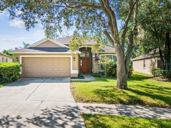 9850 BAYBORO BRIDGE DRIVE, TAMPA, Florida 33626, 3 Bedrooms Bedrooms, ,2 BathroomsBathrooms,Residential,For Sale,BAYBORO BRIDGE,MFRTB8307982