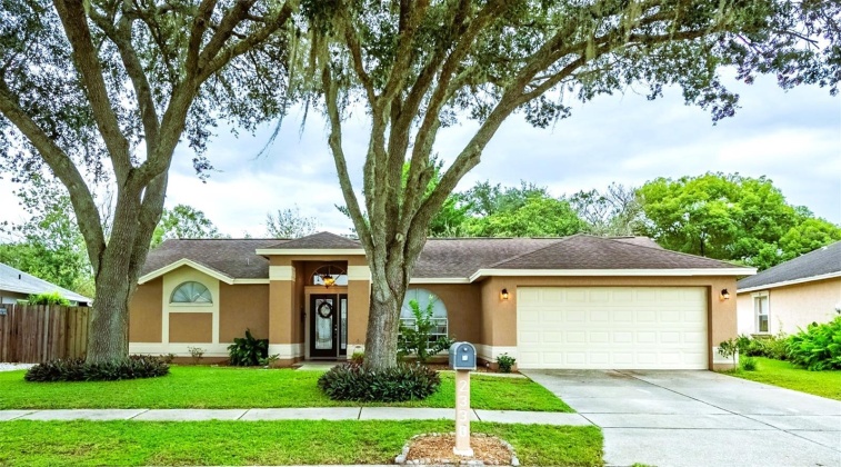 2330 FOGGY RIDGE PARKWAY, LAND O LAKES, Florida 34639, 3 Bedrooms Bedrooms, ,2 BathroomsBathrooms,Residential,For Sale,FOGGY RIDGE,MFRTB8308265