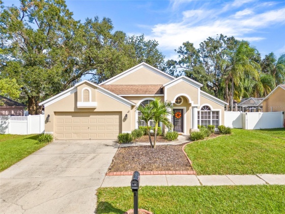 5806 ERHARDT DRIVE, RIVERVIEW, Florida 33578, 3 Bedrooms Bedrooms, ,2 BathroomsBathrooms,Residential,For Sale,ERHARDT,MFRTB8313990